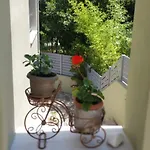 Bloom Achladies (Skiathos)