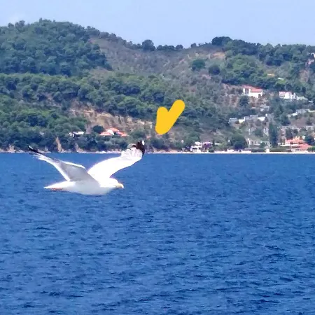 Διαμέρισμα Bloom Αχλαδιές