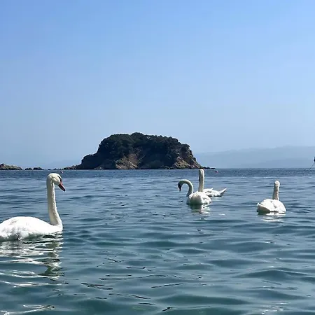 Appartement Bloom Achladias