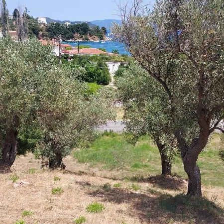 Apartament Bloom Achladies (Skiathos)