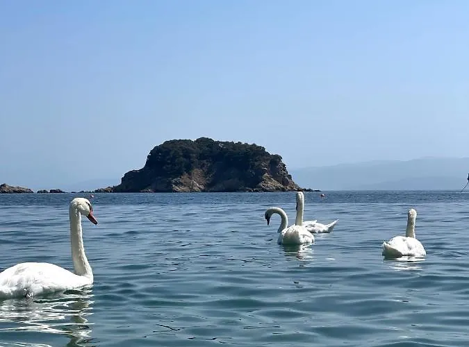 Appartamento Bloom Achladies (Skiathos)