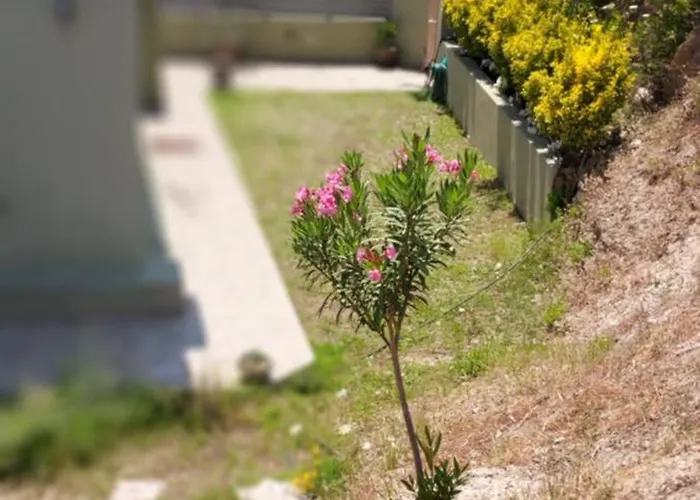 Bloom Appartamento Achladies (Skiathos)