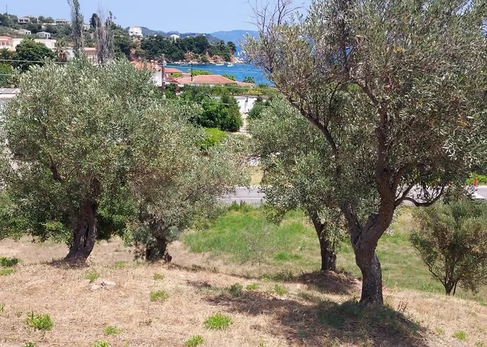 Appartamento Bloom Achladies (Skiathos)