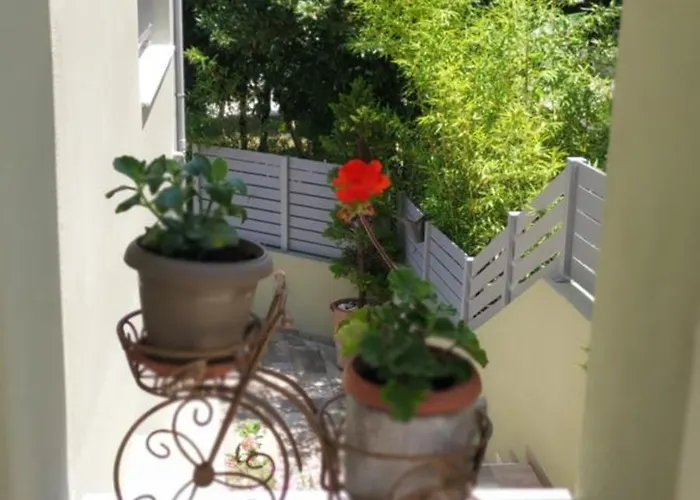 Bloom Achladies (Skiathos)